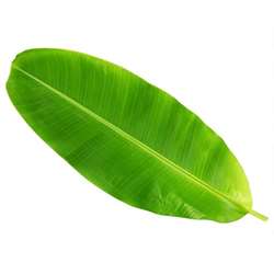 Banana Leaf (2 Pc)